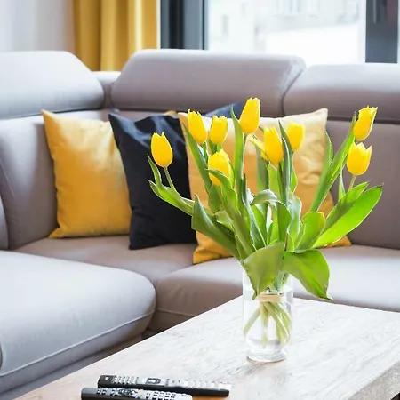 Niedzialkowskiego By Renters *