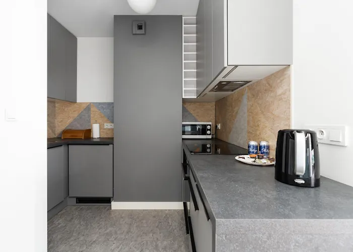 Apartment Niedzialkowskiego By Renters