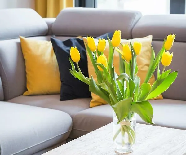 Niedzialkowskiego By Renters *